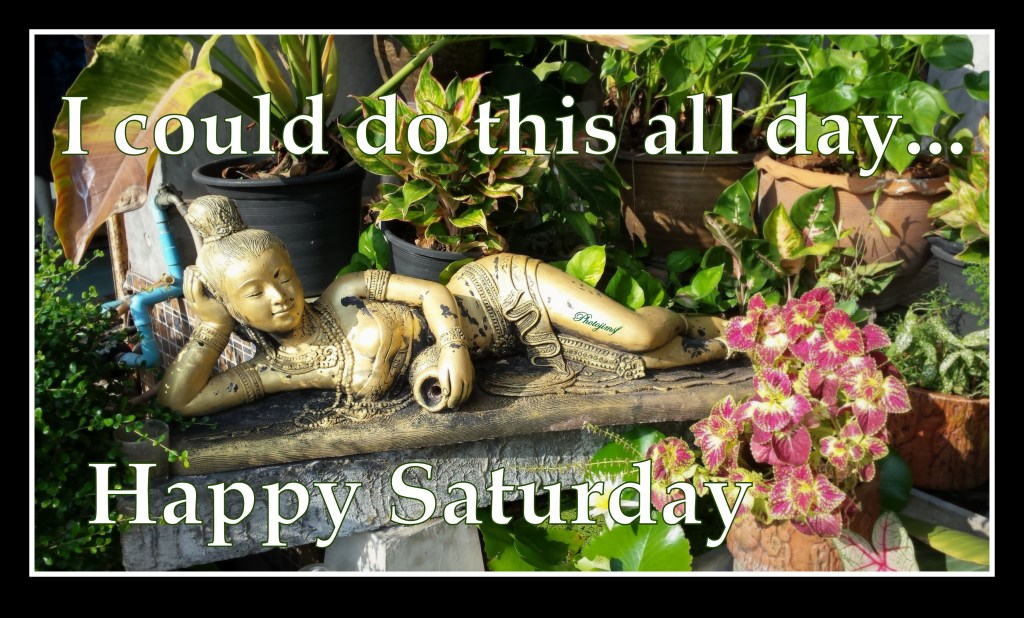 2016-01-20 _155555 reclining Godess I could do this all day meme